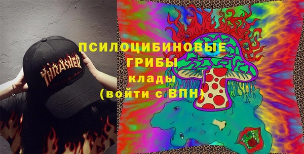 гидра Бронницы