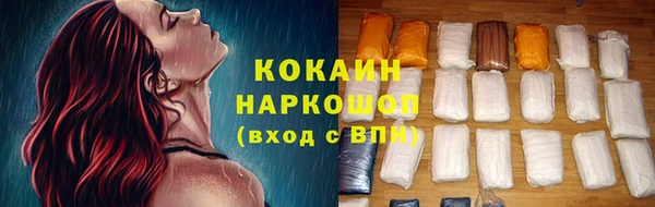 гидра Бронницы