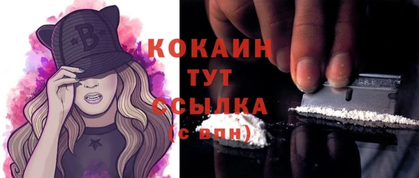 гидра Бронницы