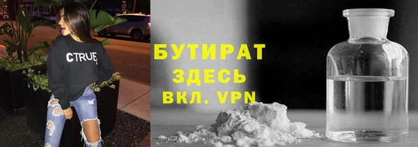 индика Богданович