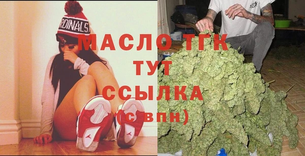 гидра Бронницы