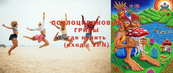 шишки Бугульма
