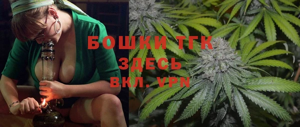 гидра Бронницы