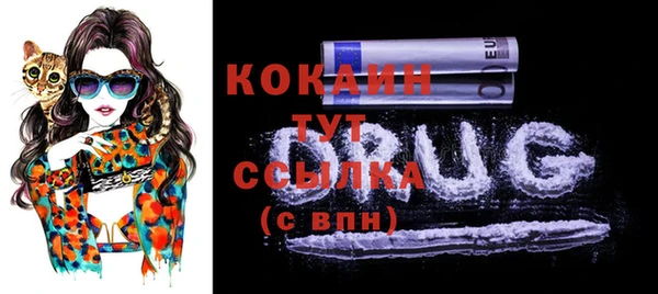 гидра Бронницы