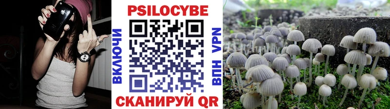 Псилоцибиновые грибы Psilocybe  МЕГА онион  Северск 